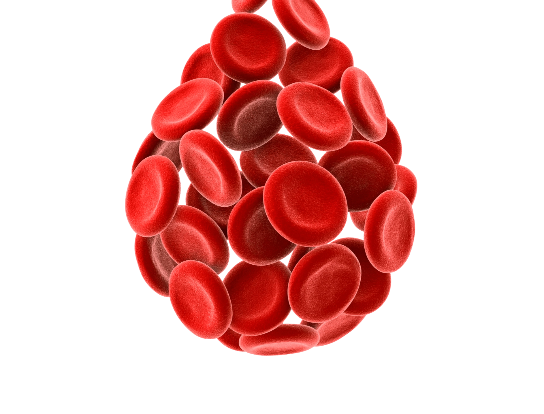 клетки крови